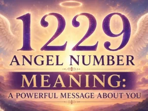 1229 angel number